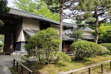 Fototapeta na wymiar 日本の古い家の庭の風景
