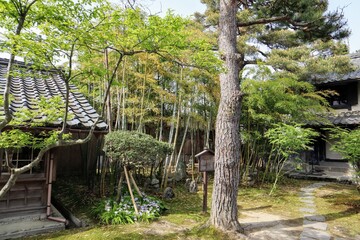 日本の古い家の庭の風景