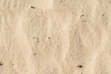 Beach sand close up, texture of river or sea sand on the beach in summer
