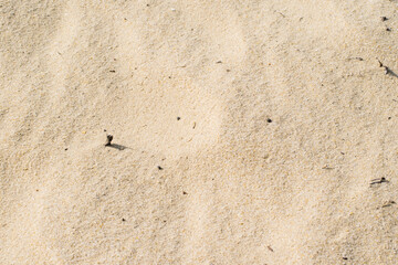 Beach sand close up, texture of river or sea sand on the beach in summer