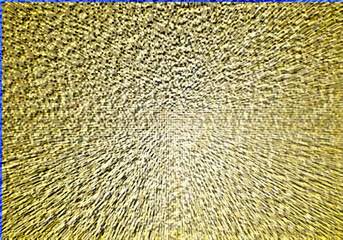 Fondo amarillo de pared y decorativo.