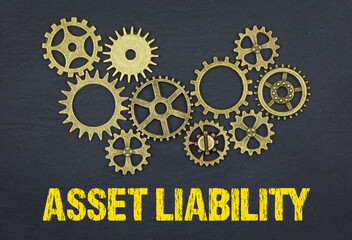 Asset Liability