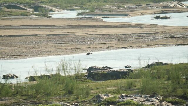 Olifant River, Limpopo, South Africa