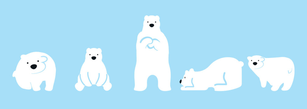 Cute Polar bear funny character  set