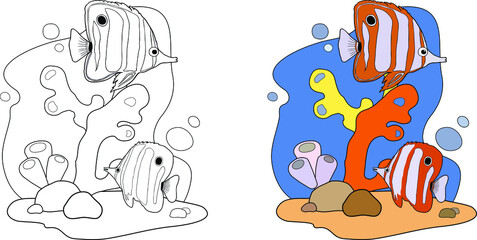 Hand drawn line sea tropical fish. Coloring book page for children with colorful fishes, underwater coral reef and sketch to color. Vector illustration isolated. Animal totem for adult Coloring Page © Елена Агеева