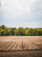 Ackerfeld im Frühling mit grünen Bäumen im Hintergrund - 433603720