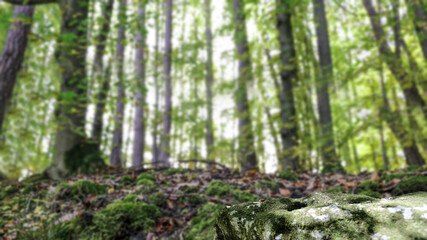 Naklejka premium Green moss background and free space for your decoration. 
