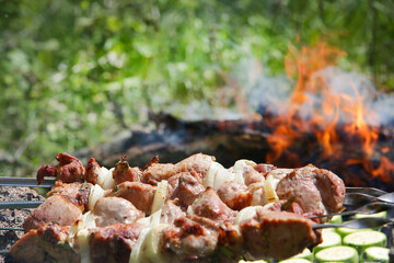 Juicy meat with onions and spices on skewers is fried on a fire in nature. Barbecue. Picnic. Grill.