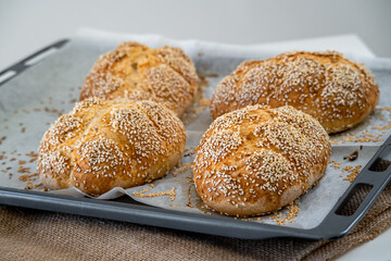 Fresh challah bread rolls hot from the oven on baking tray. Gluten free bread buns or mini loaves with sesame seeds and golden color ready to eat. Fluffy shaped bread, great for sandwiches. Side view