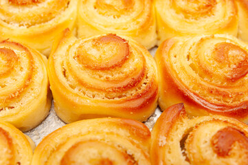 Fresh and delicious homemade Hungarian Coconut Slices. Top view. Close-up.