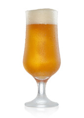 Glass of golden ale