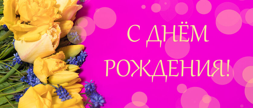 Long horizontal banner greeting card in Russian happy birthday with yellow tulip flowers in pink.