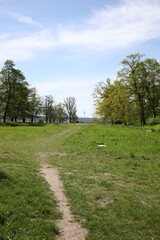 Havel lake in west Berlin and forrest in Kladow 
