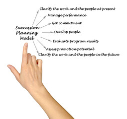 Components of Succession Planning  Model
