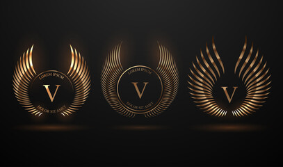 Abstract golden wings template set on black background © d1sk