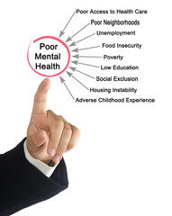 Drivers of poor Mental Health