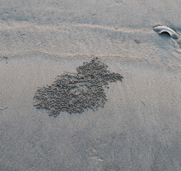 footprint on the sand