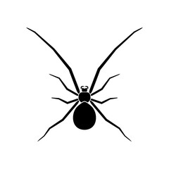 Spider insect icon, vector illustration