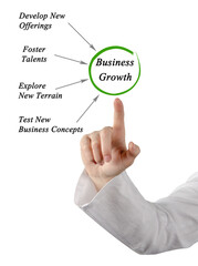 Four drivers of business growth