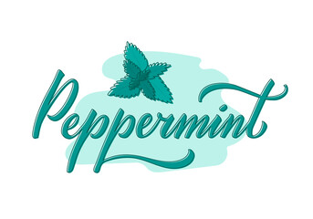 Vector illustration of peppermint lettering for packages, product design, banner, spice shop  price lists. Handwritten word with leaves for web or print

