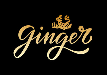 Vector illustration of ginger lettering for packages, product design, banner, sticker, spice shop, greenery shop price lists. Handwritten word with a drawing for web or print
