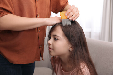 Mother using nit comb on her daughter's hair indoors. Anti lice treatment - obrazy, fototapety, plakaty
