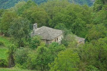 Fototapeta na wymiar An old house lost in the forest
