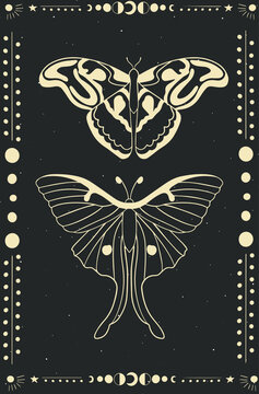 Vector illustration, hand-drawn butterflies. Abstract mystical sign.Sky patterns in the style of old engravings. Vector set of sacred geometric and natural symbols on a black background. Abstract coll