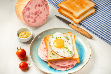 Easy breakfast - fried egg on sandwich with sausage on plate with tomatoes, mustard, ham, toast.
