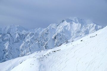 Naklejka premium バックカントリー