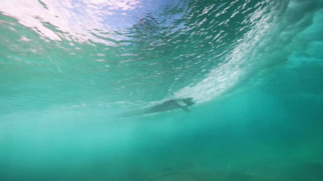 Cinematic slowmotion underwater shot of a surfer dropping in on a crashing wave in Esquinzo, Fuerteventura, Canary Islands of Spain.