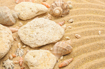 Seashells, stones on beige sand, sand texture, background. Summer background