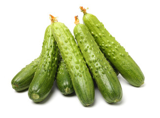Green cucumber on the white background