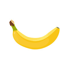 Banana on white background for decoration design. Healthy eating concept. Modern style. Vector design banner. Technology concept design.Healthy diet. Organic food.Closeup of banana.
