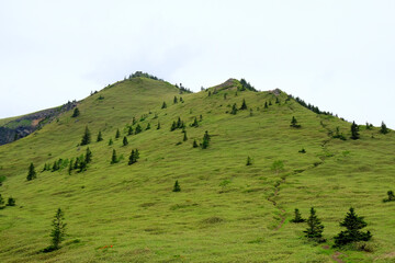 Naklejka premium 絵画のようなコントラスト 