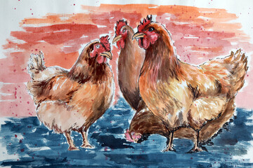 Four chickens standing in the water, painted with a liner and watercolor © Yurii