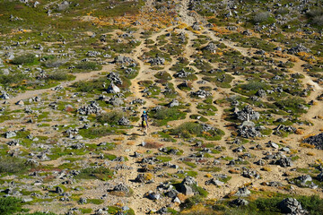 不思議な登山道