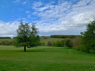 Breathtaking English views 