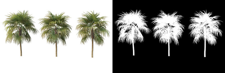 Many kinds of trees Variety of styles
