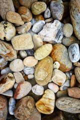  Many colorful pebbles on the beach
