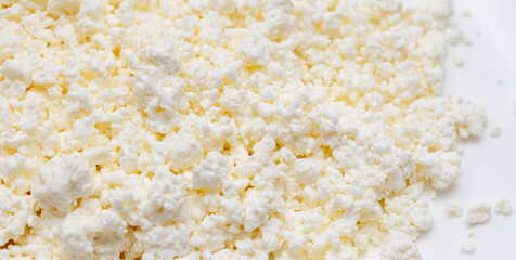 Fresh milk curd as background.