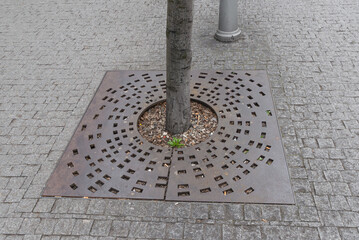 Rounded metal tree grille grate, cast iron tree guard bed tree protection with some urban dirt and rubbish