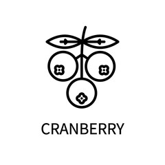 Cranberry Line Icon In Simple Style. Healthy Food. Natural Product. Vector sign in a simple style isolated on a white background