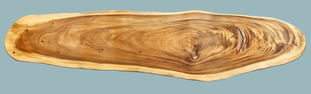 Amazing table of live edge suar wood slab on light blue background