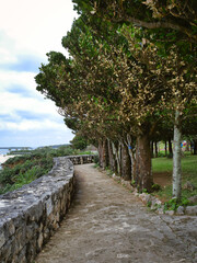 stone path in the park by the sea