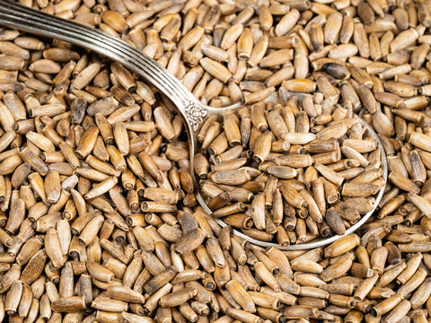 tablespoon in milk thistle seeds close up