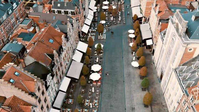Leuven Oude Markt, tree-shaded town square lined with open-air bars and restaurants
