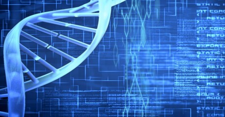 Composition of dna strand and medical data processing over blue background