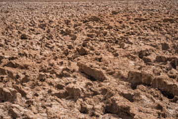 Salt rocks close-up on the Devil's Golf Course in Death Valley