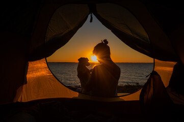 A woman and a dog are resting in a tent in nature at sunset. The girl and Jack Russell Terrier set...